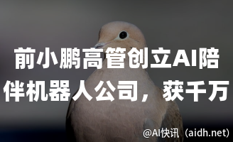 前小鹏高管创立AI陪伴机器人公司,获千万元融资!的封面图