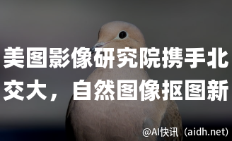 美图影像研究院携手北交大,自然图像抠图新技术荣登AAAI 2025的封面图